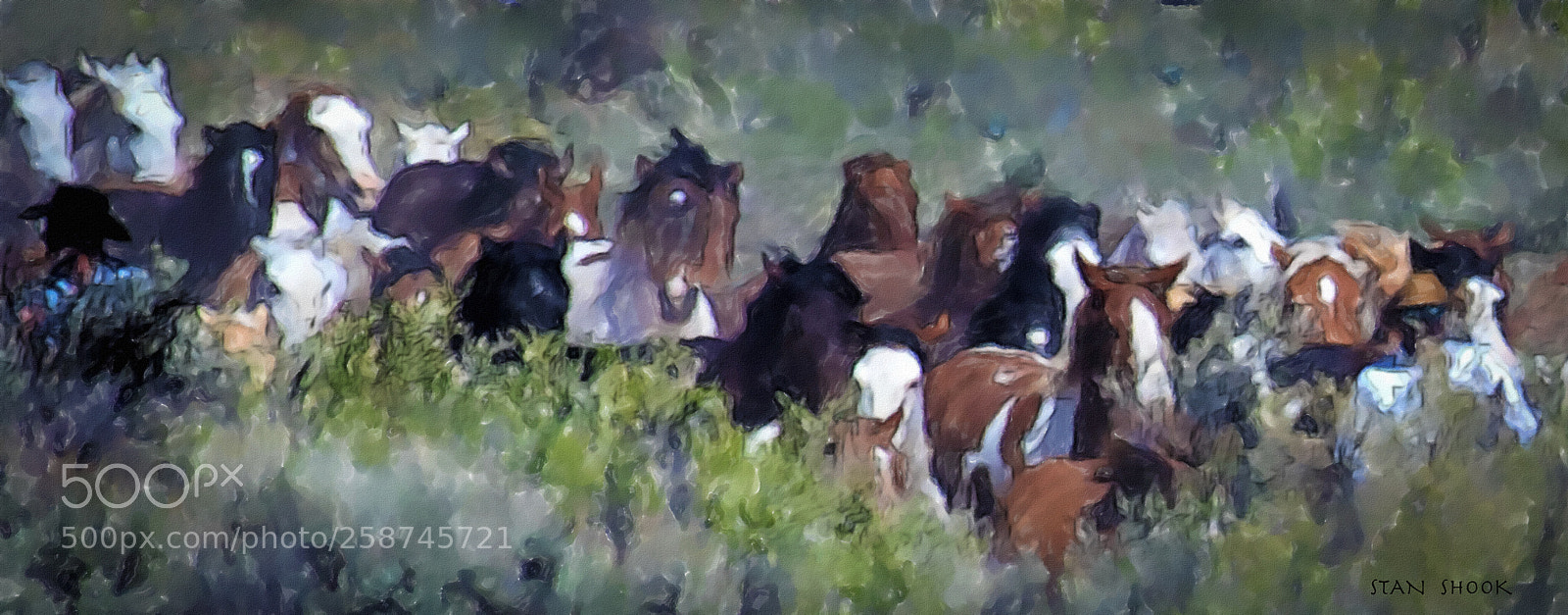 Canon EOS 7D Mark II sample photo. Running the herd watercolor photography