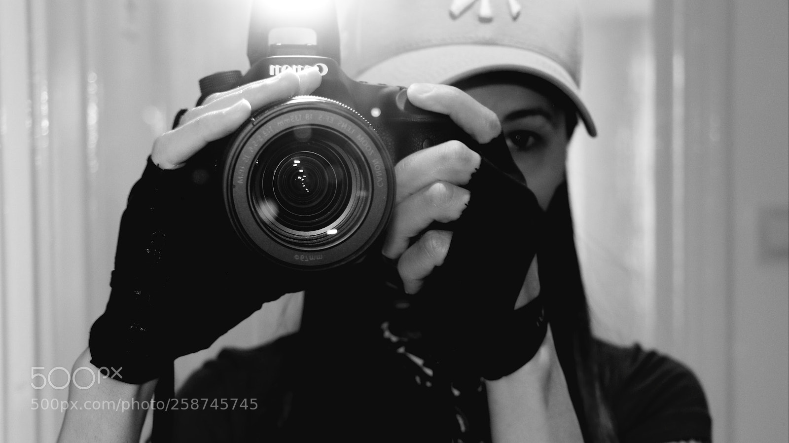 Canon EOS 80D sample photo. Untitled photography
