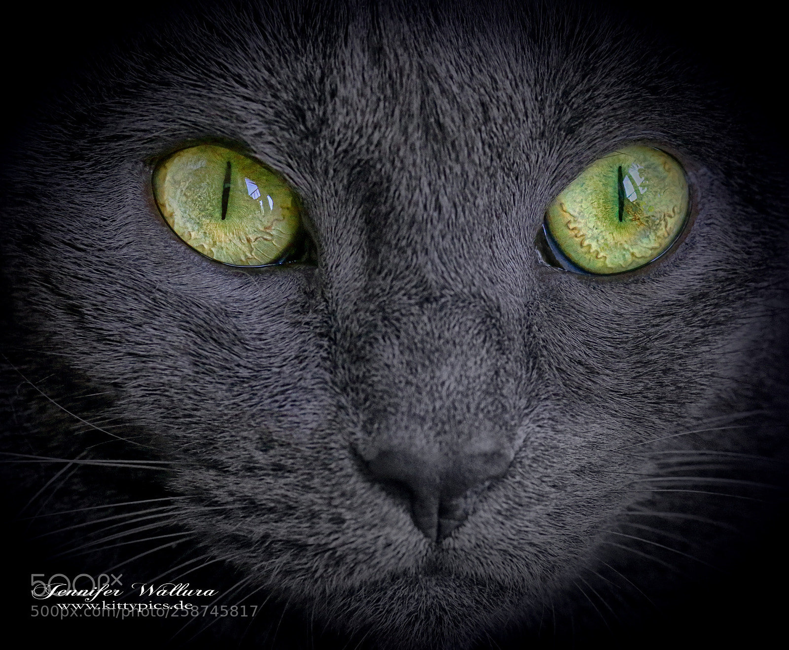 Canon EOS 6D sample photo. From the shadows photography