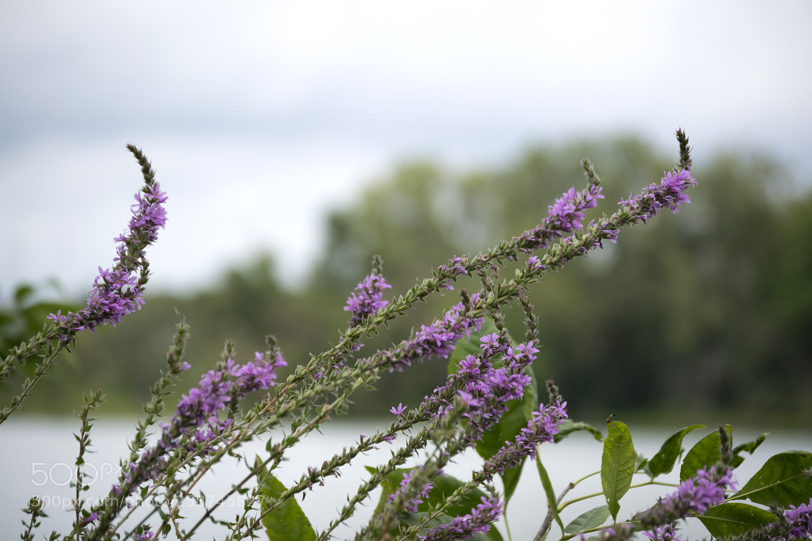 Nikon D3300 sample photo. Before the lake photography