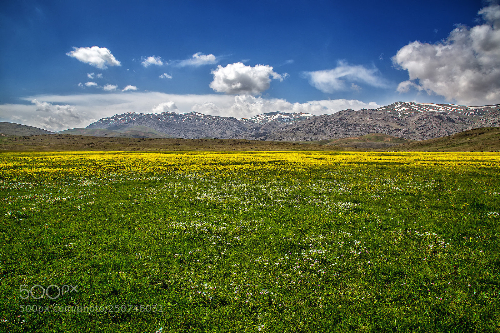 Canon EOS 6D sample photo. Gelin Çiçeği photography