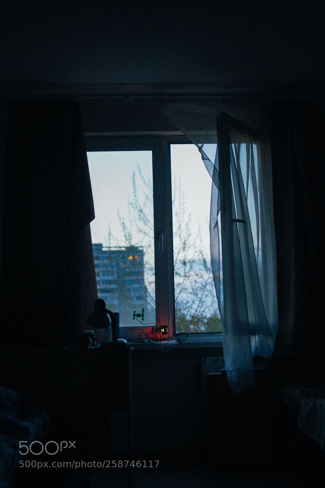 Nikon D3100 sample photo. 4:00 am photography