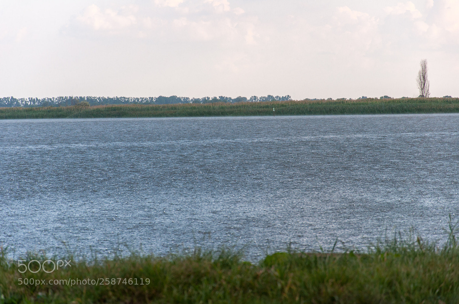 Nikon D90 sample photo. Rain on the lake photography