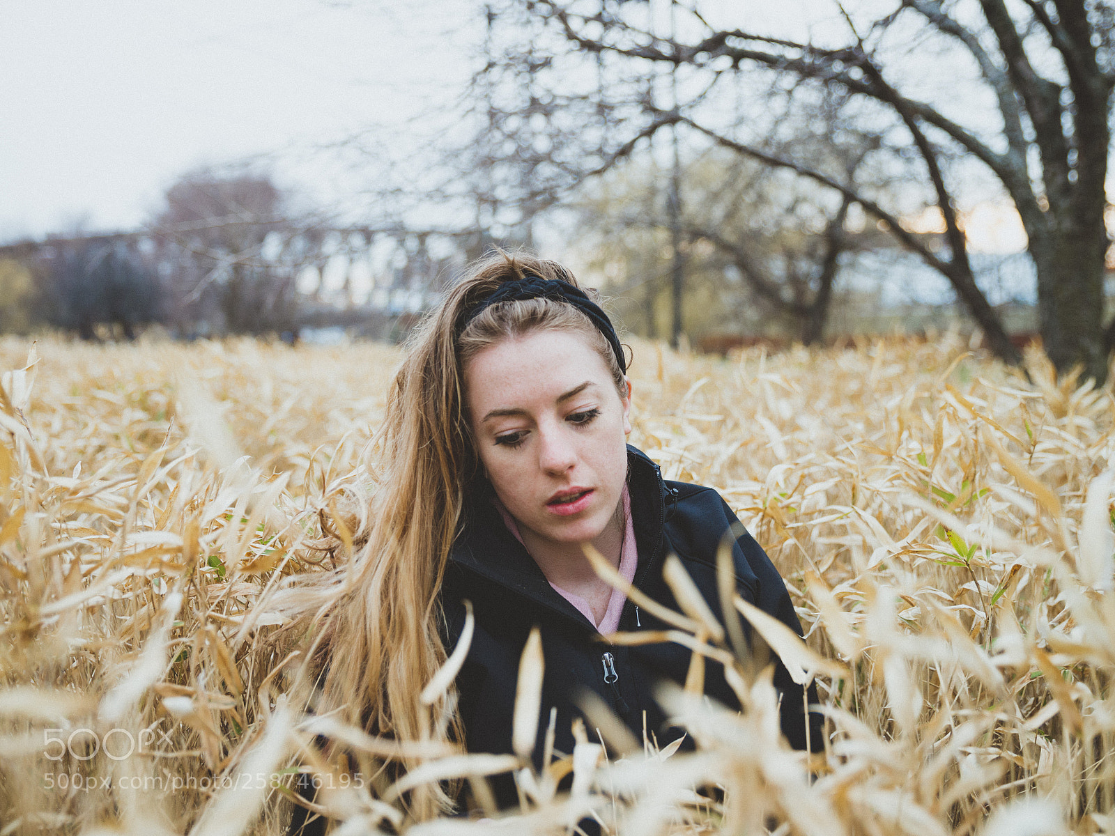 Nikon D600 sample photo. Riley photography
