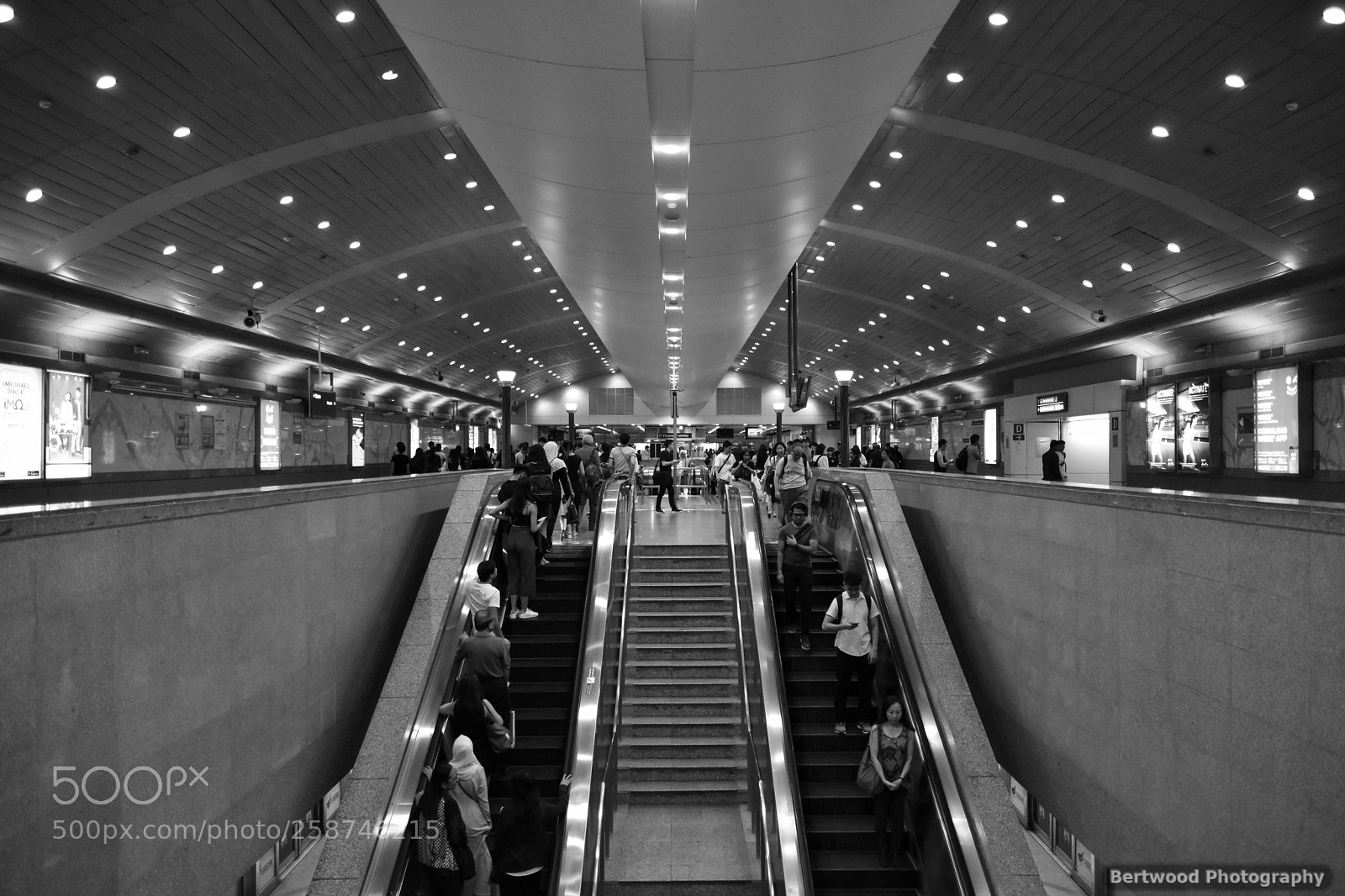 Nikon D5600 sample photo. Station photography