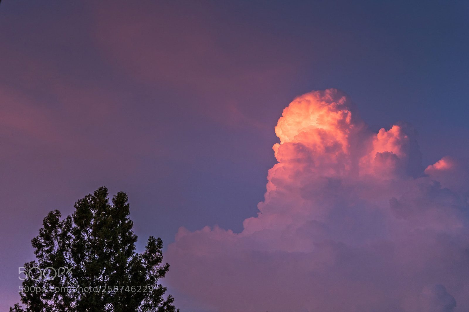 Canon EOS 750D (EOS Rebel T6i / EOS Kiss X8i) sample photo. Colours at the sunset photography
