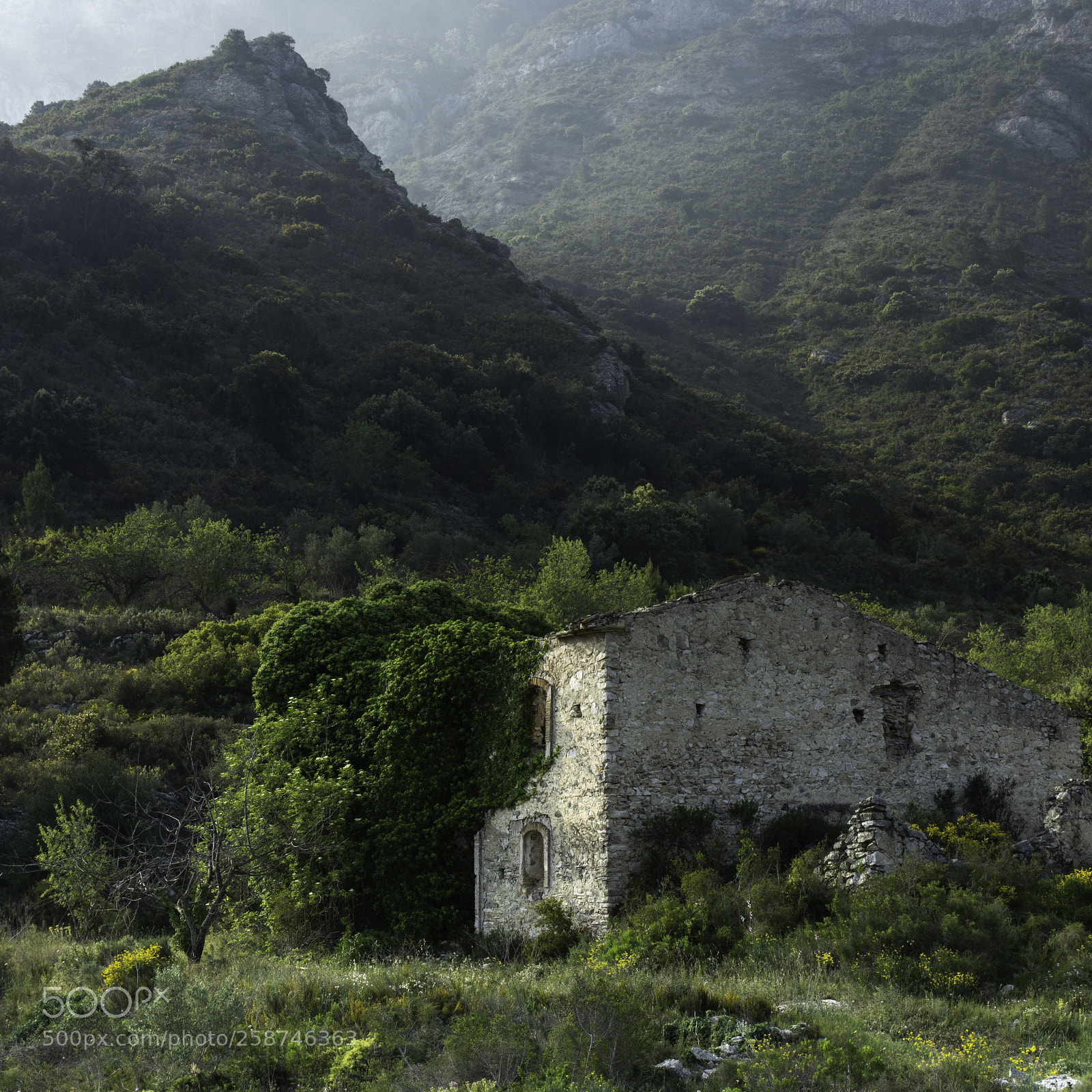 Nikon D7200 sample photo. Reclamation photography