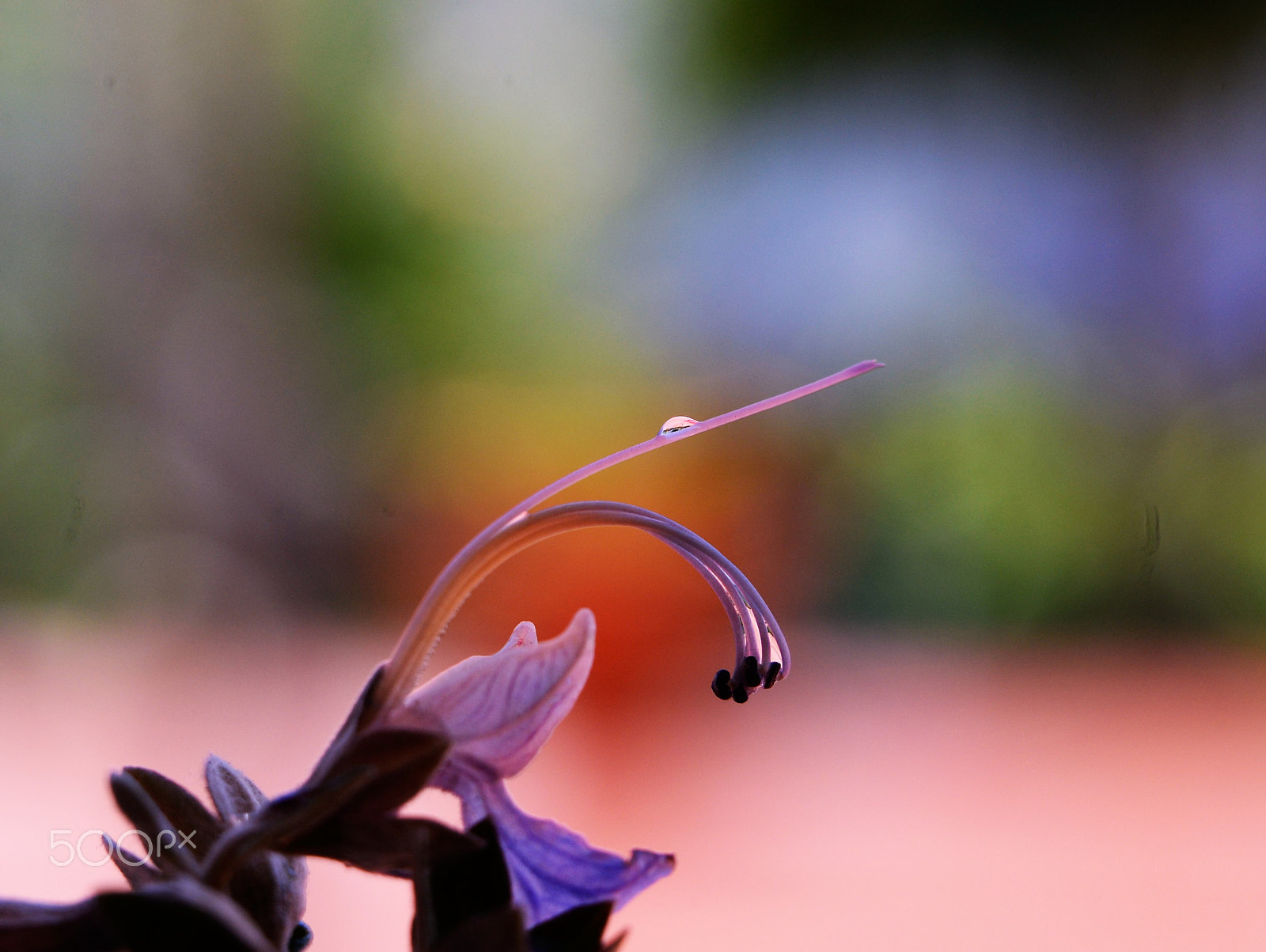 Nikon D610 sample photo. St photography