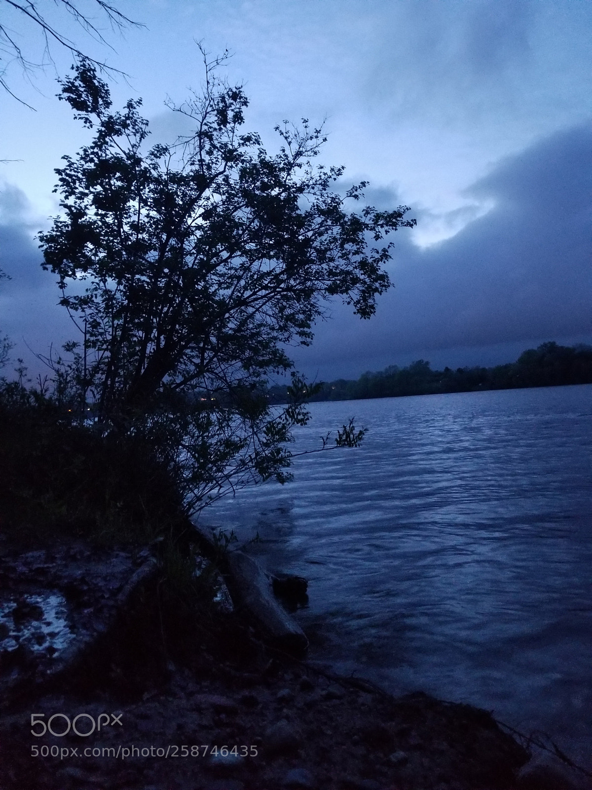 Samsung Galaxy S8 sample photo. Untitled photography