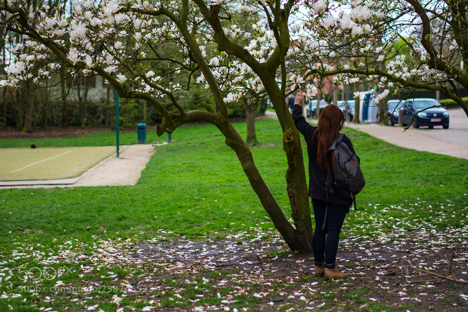 Nikon D5200 sample photo. Solibruxellestree photography