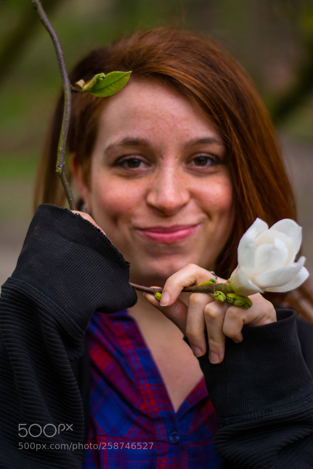 Nikon D5200 sample photo. Solibruxellestree photography