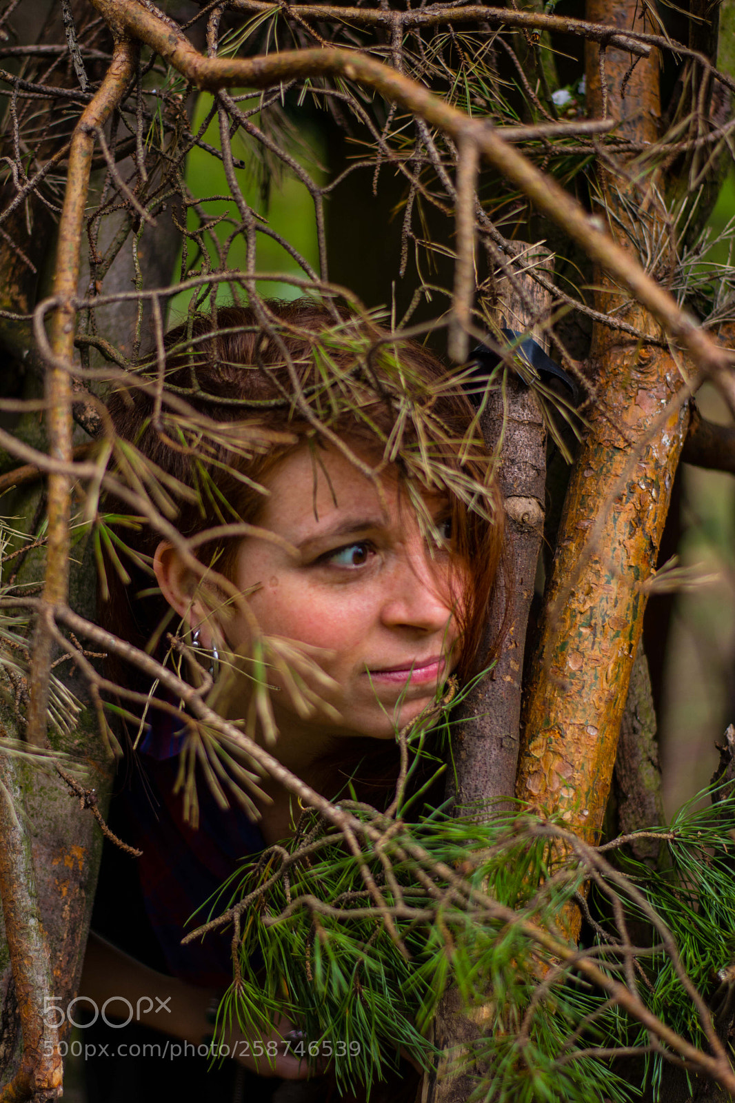 Nikon D5200 sample photo. Solibruxelleswood photography