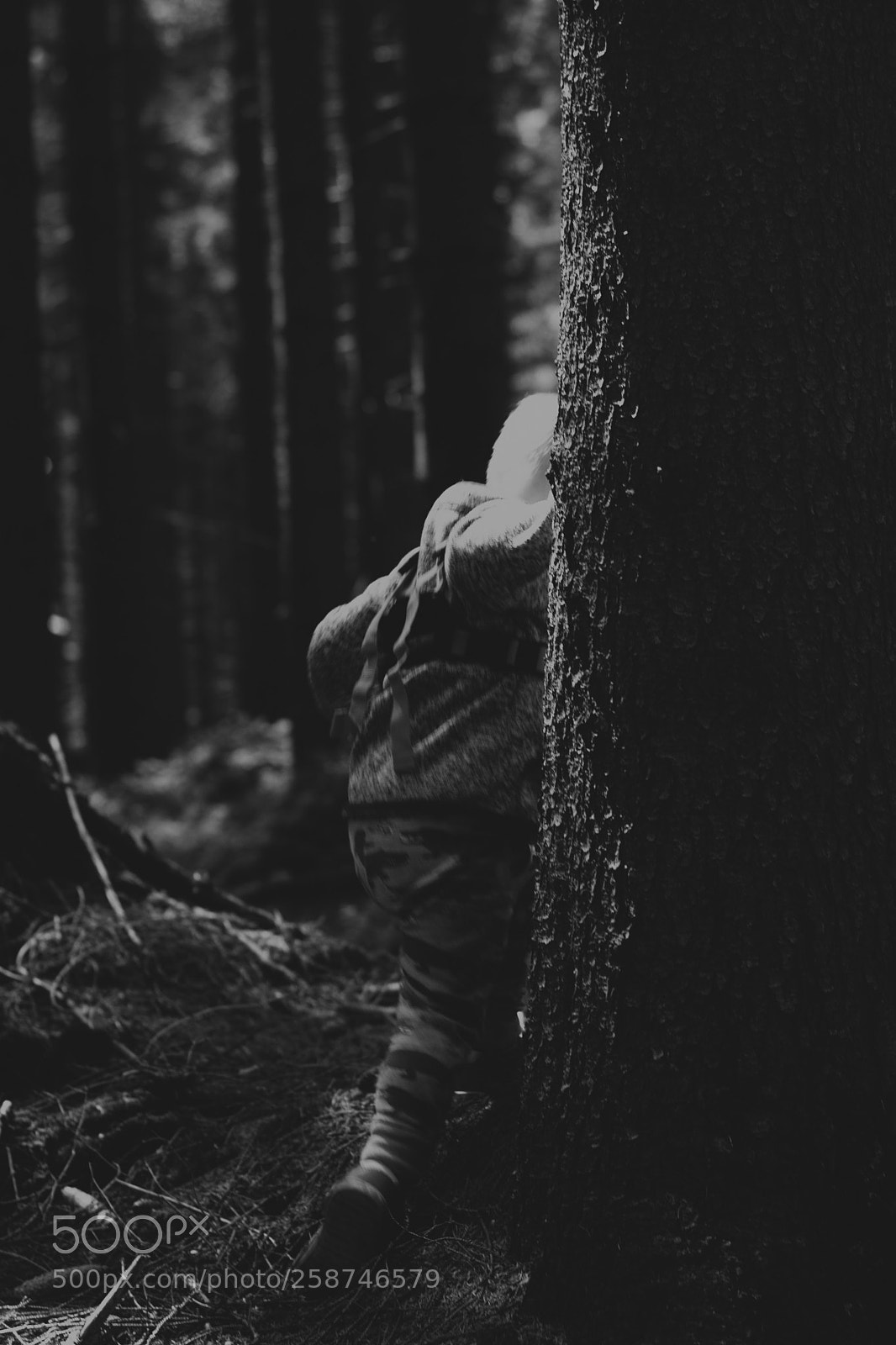 Nikon D3300 sample photo. Hide and seek photography
