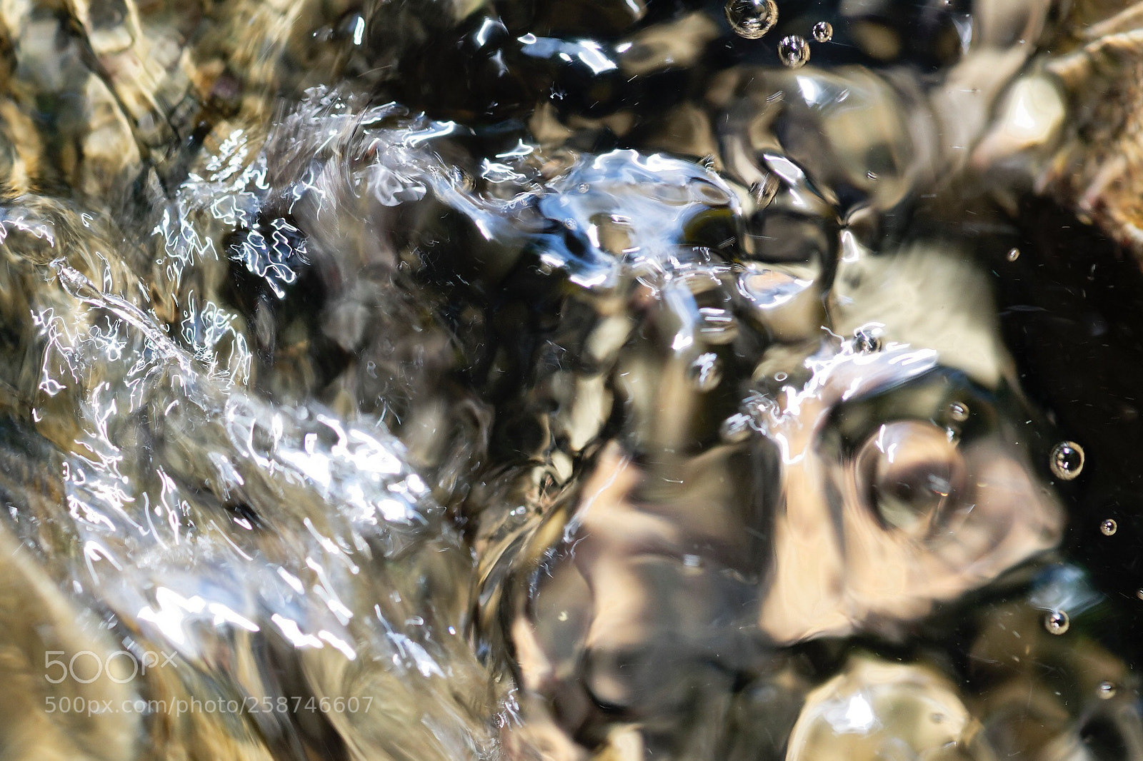 Nikon D850 sample photo. Untitled photography