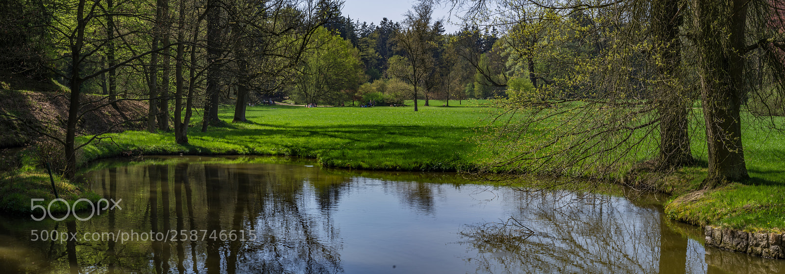 Pentax K-5 sample photo. Spring in pruhonice park photography