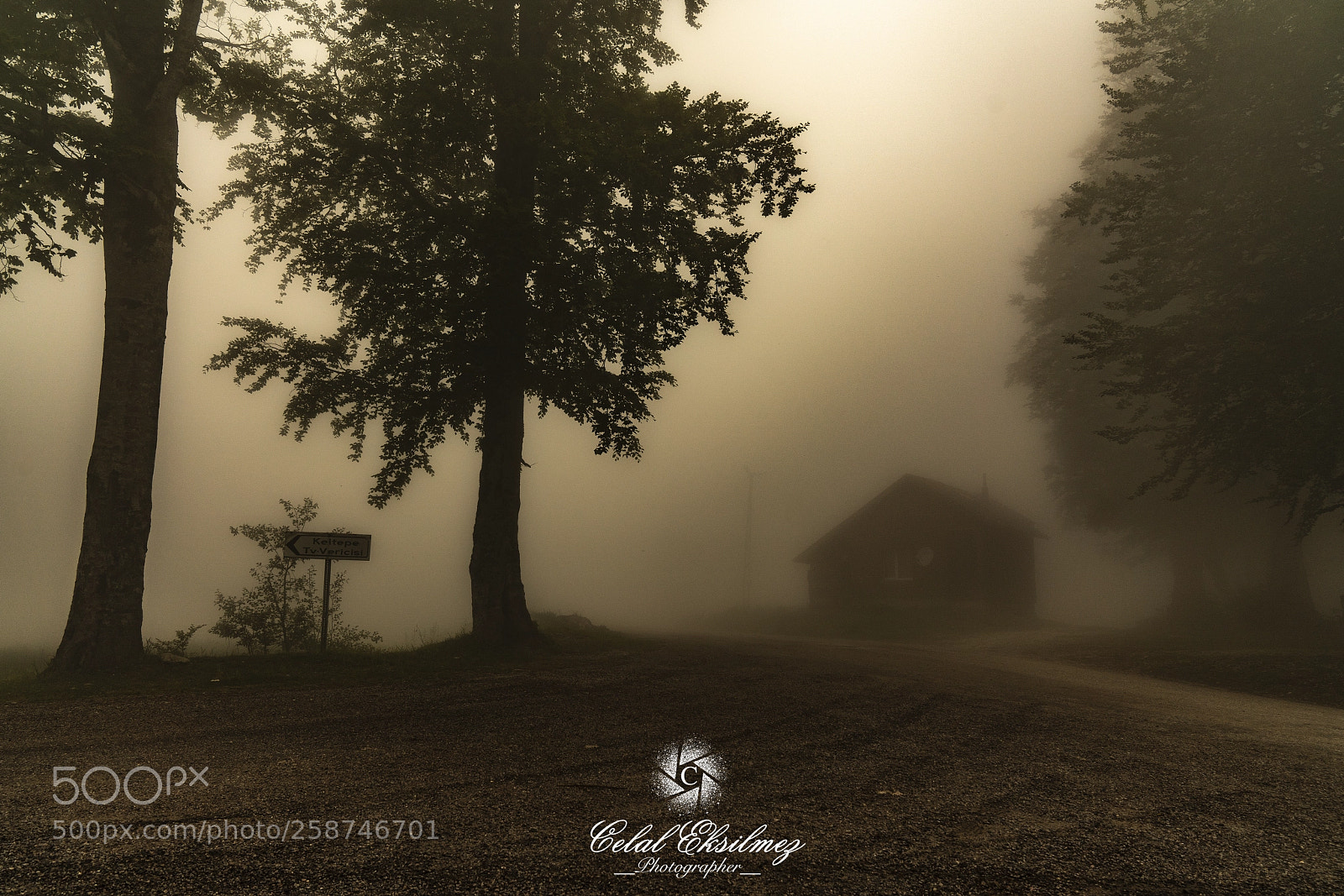 Sony a7R III sample photo. Fog photography