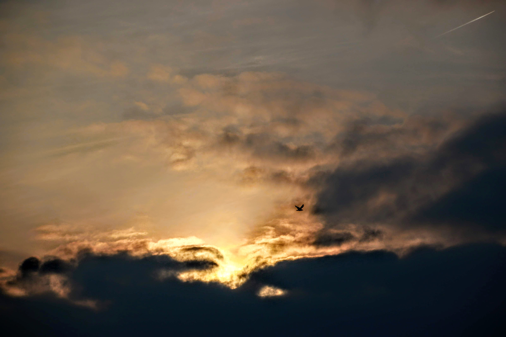 Canon EOS 70D + Canon TS-E 90mm F2.8 Tilt-Shift sample photo. Sundown photography