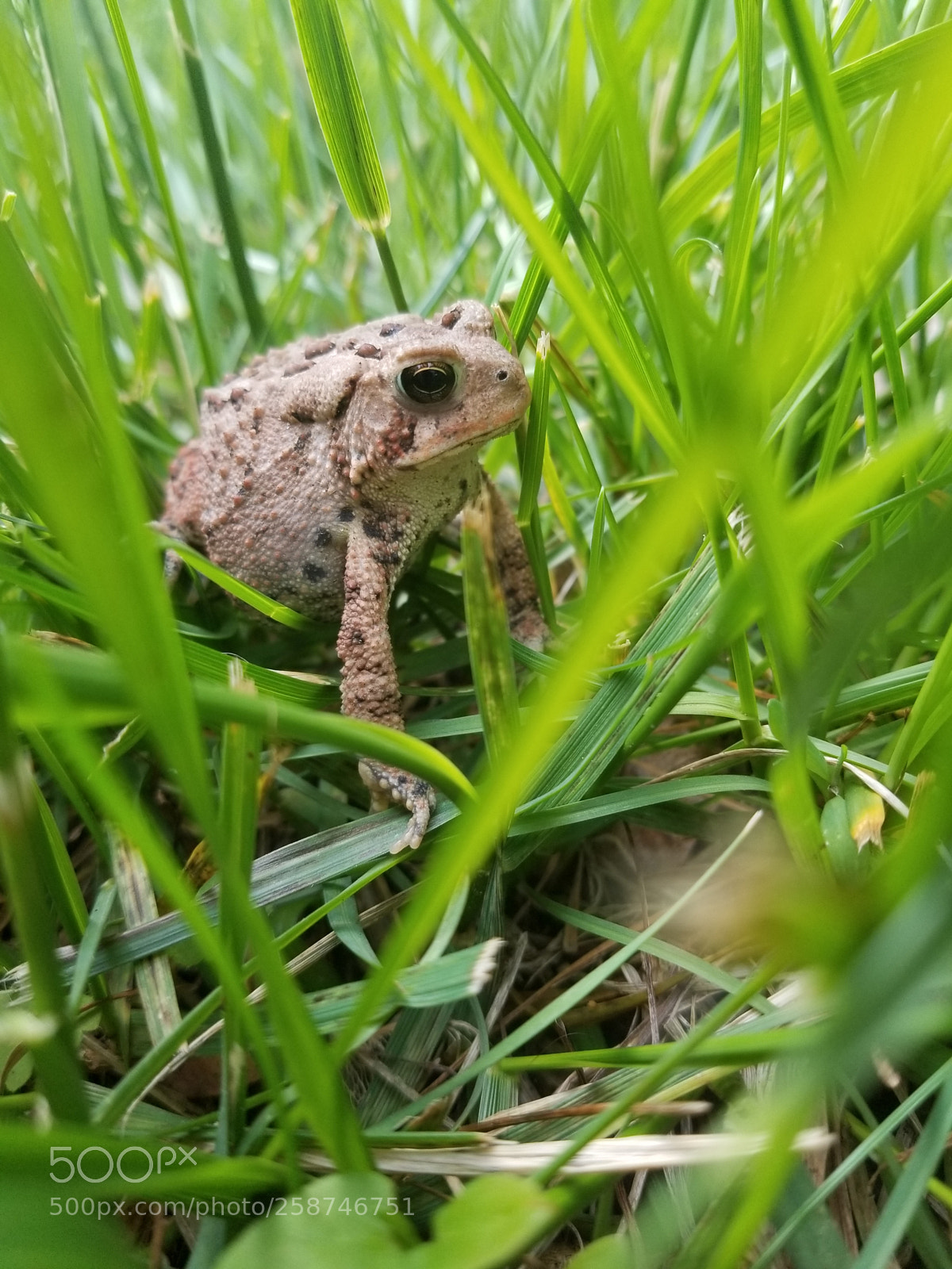 Samsung Galaxy S8 sample photo. Untitled photography