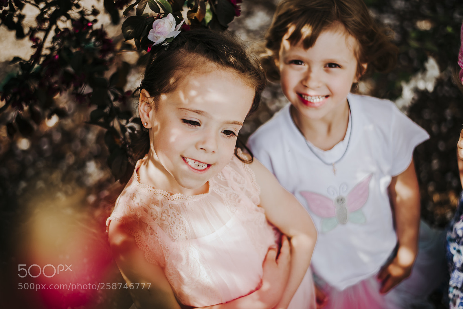 Nikon D750 sample photo. Kids under the apple photography