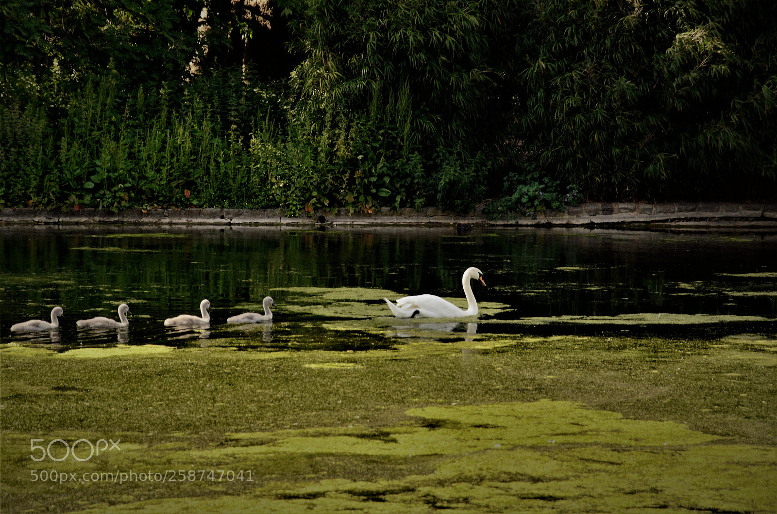 Nikon D7000 sample photo. Family day out... photography