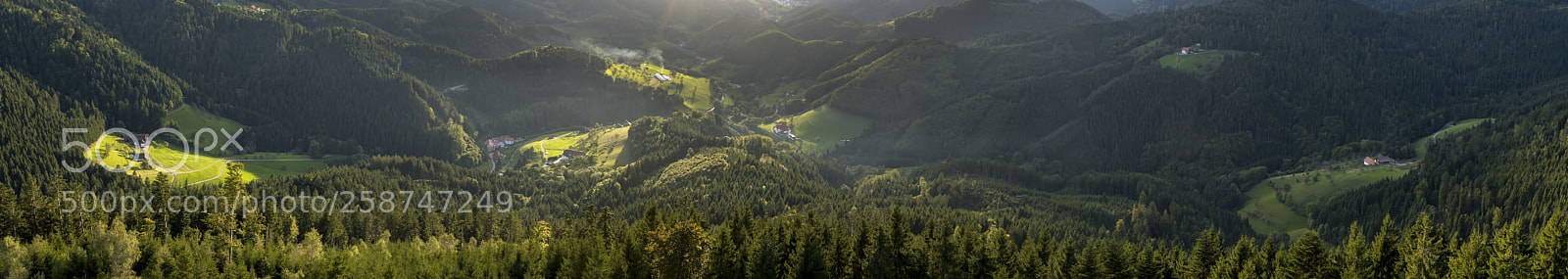 Nikon D500 sample photo. ... black forest valleys ... photography