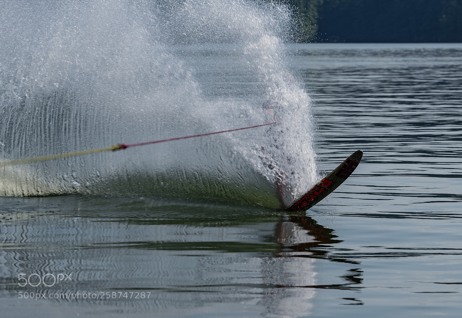 Nikon D850 sample photo. Getting lost in water photography