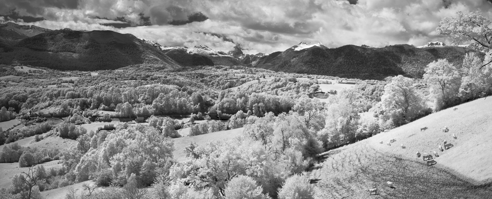 Pentax *ist DS sample photo. Buzy -  chemin lamanet - france photography
