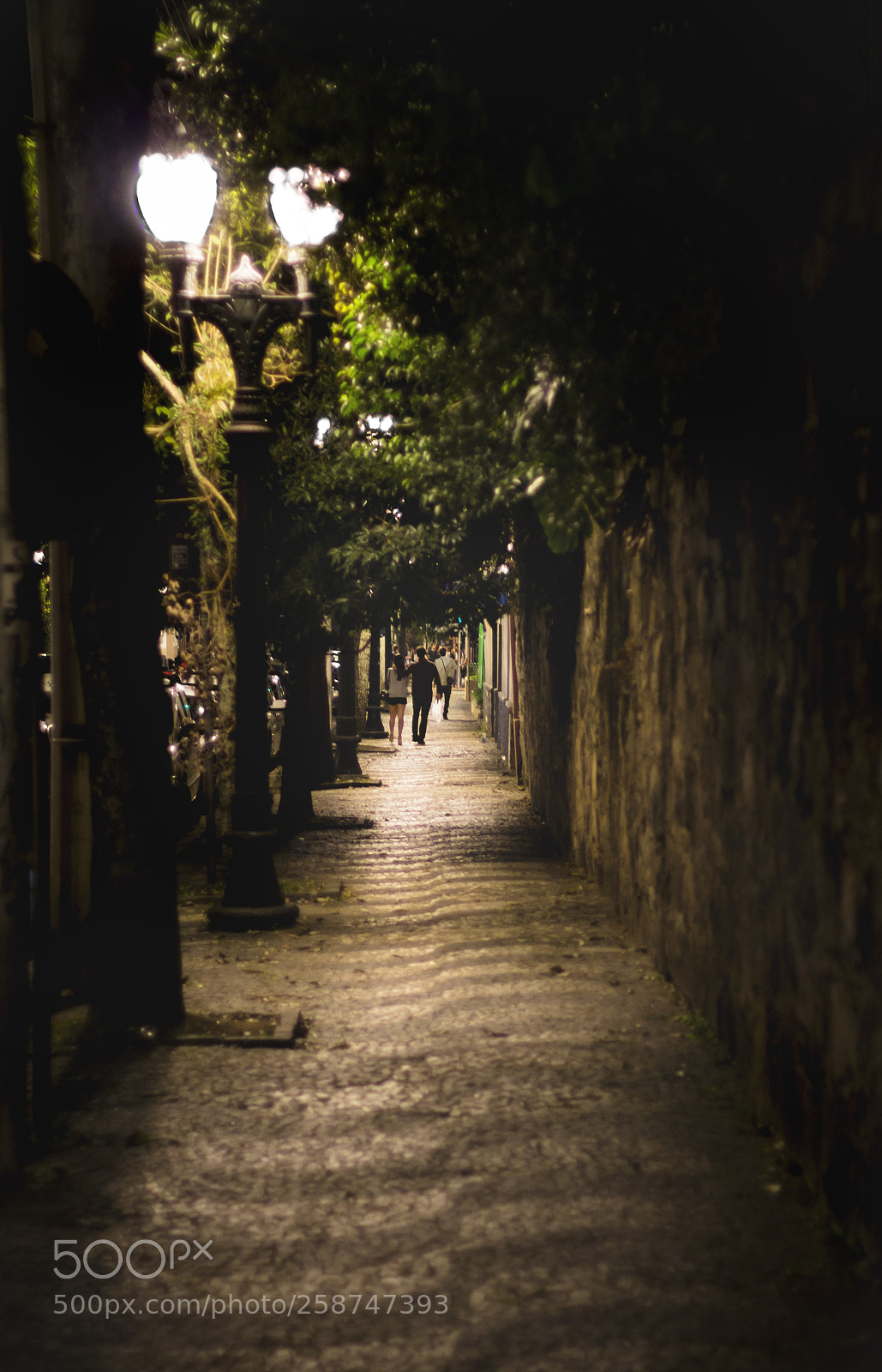 Canon EOS 60D sample photo. Untitled photography