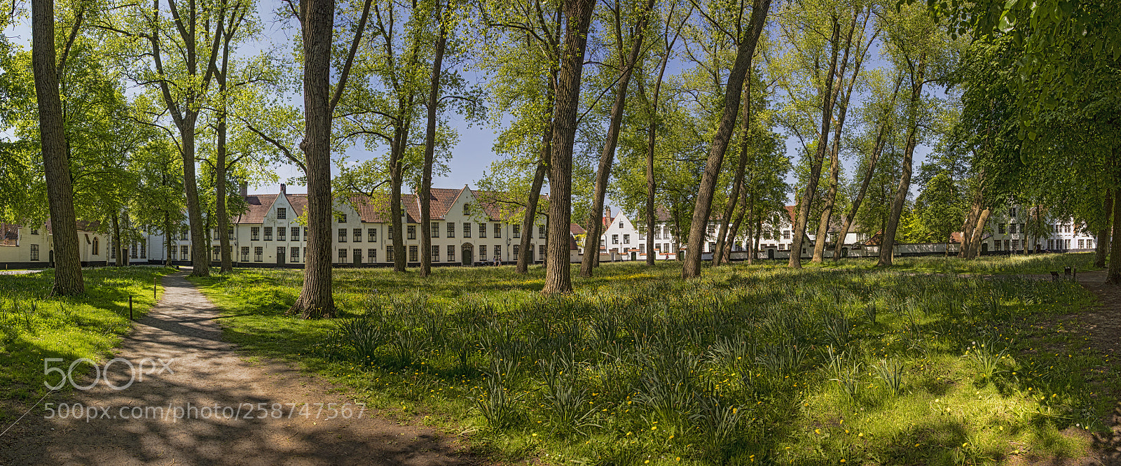 Canon EOS 5DS R sample photo. Beginenhof photography