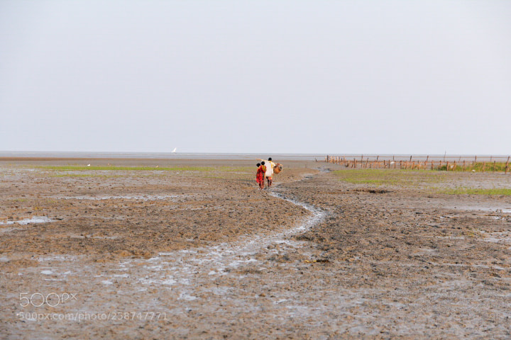 Canon EOS 600D (Rebel EOS T3i / EOS Kiss X5) sample photo. Journey begins photography