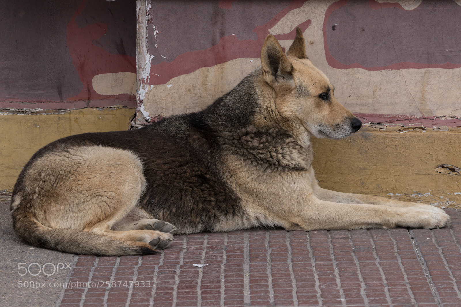 Sony a7R II sample photo. Caldera photography