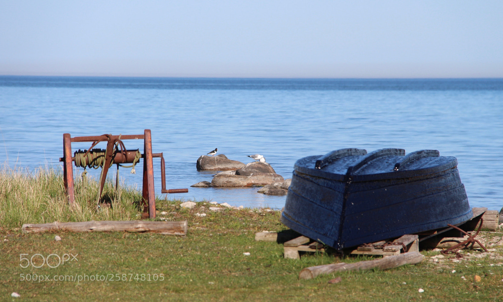 Canon EOS 700D (EOS Rebel T5i / EOS Kiss X7i) sample photo. Staplar photography