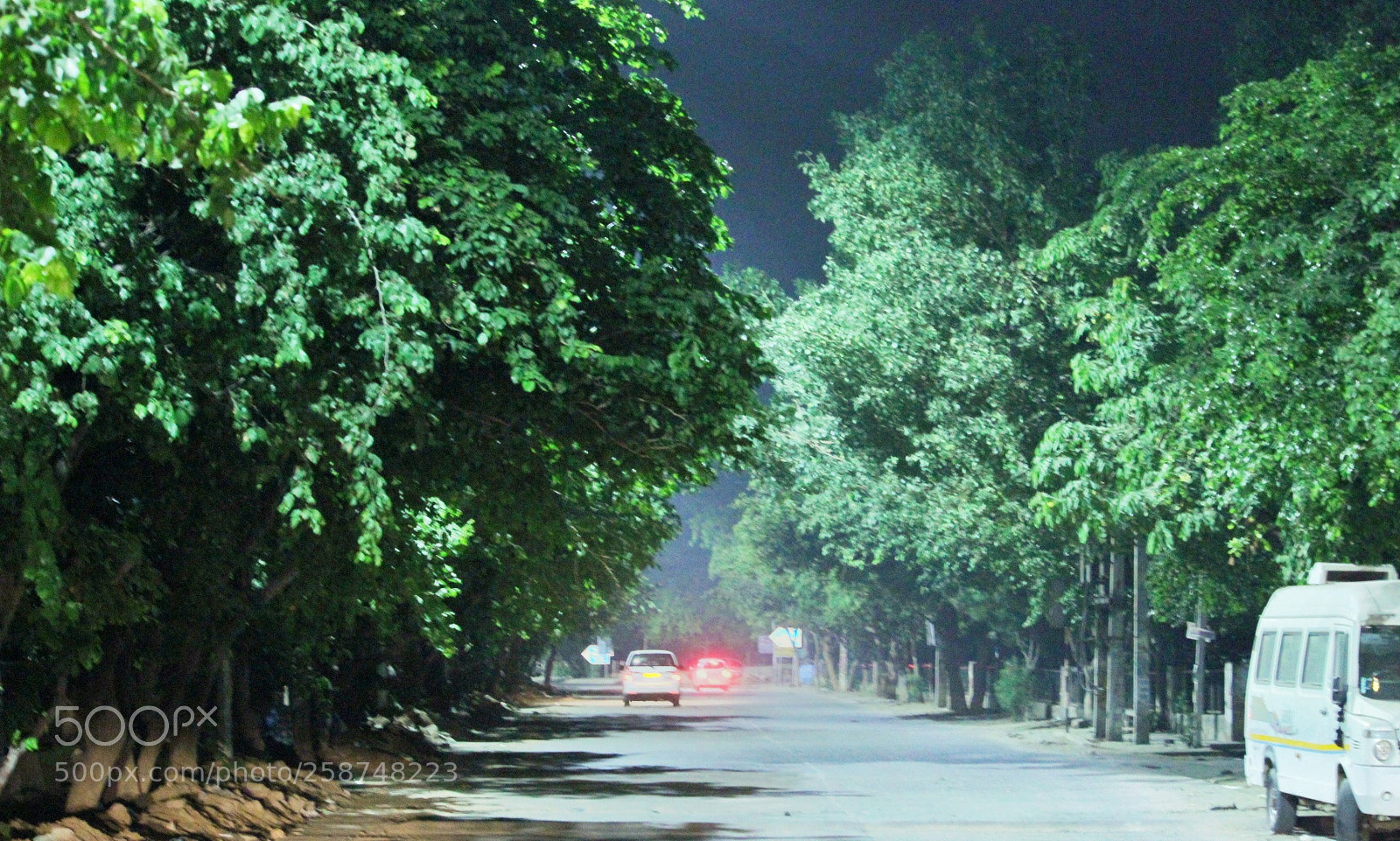 Canon EOS 1300D (EOS Rebel T6 / EOS Kiss X80) sample photo. The greens of gurgaon photography