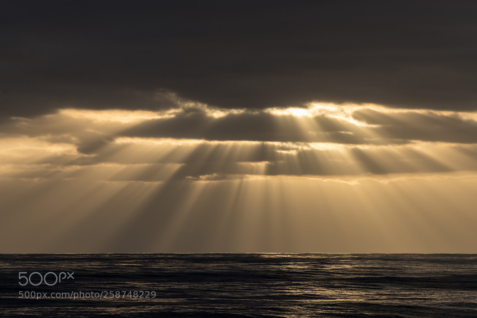Sony a7R II sample photo. Pacific ocean photography