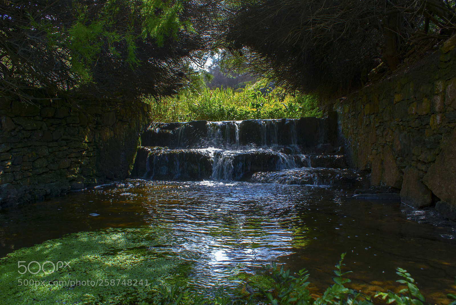 Sony Alpha DSLR-A100 sample photo. Cascade into the light photography