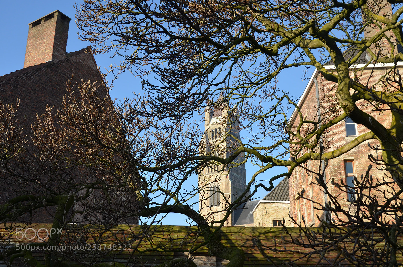 Nikon D5100 sample photo. Brugge photography