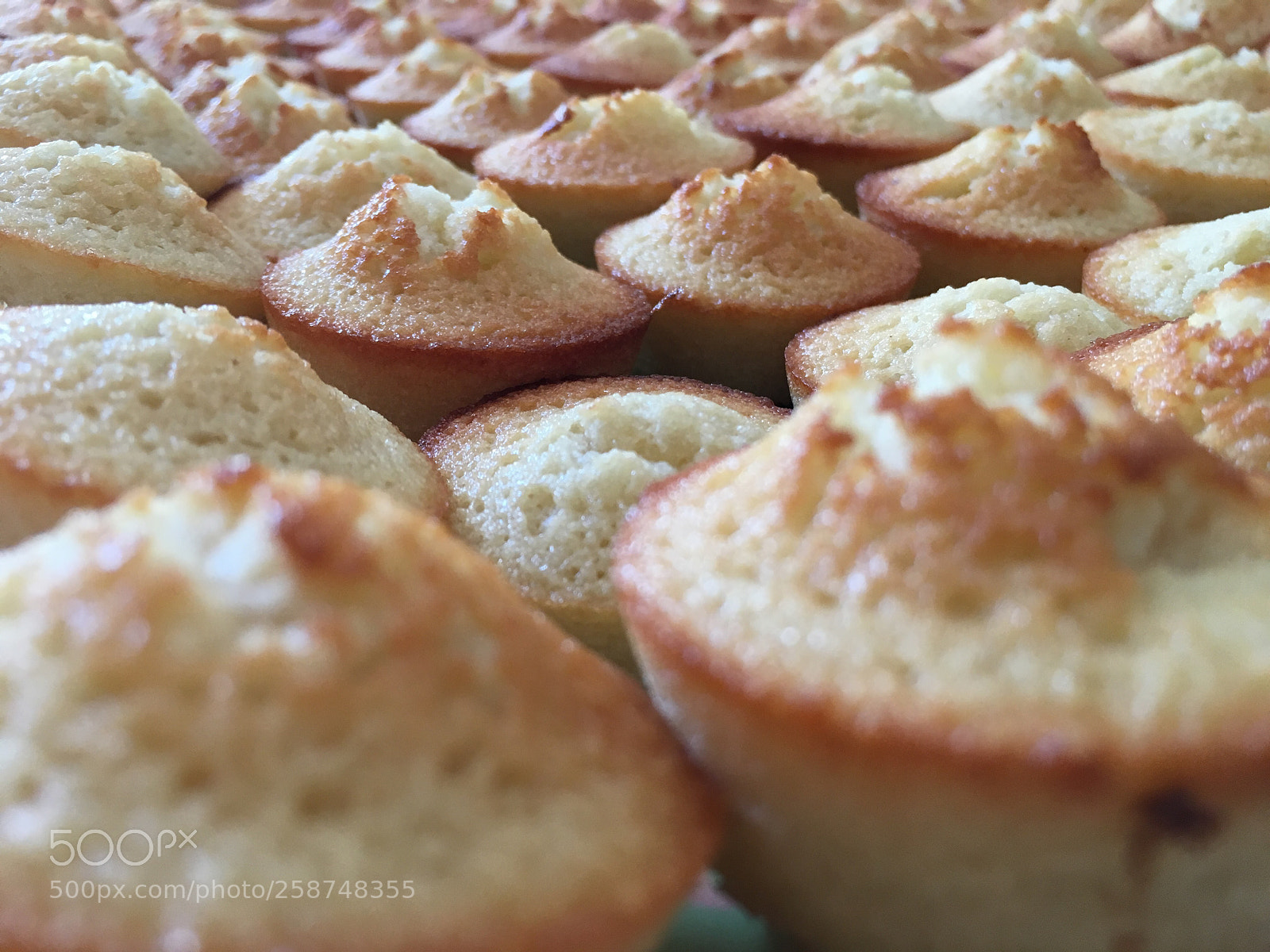 Apple iPhone 6s sample photo. Miam miam... photography