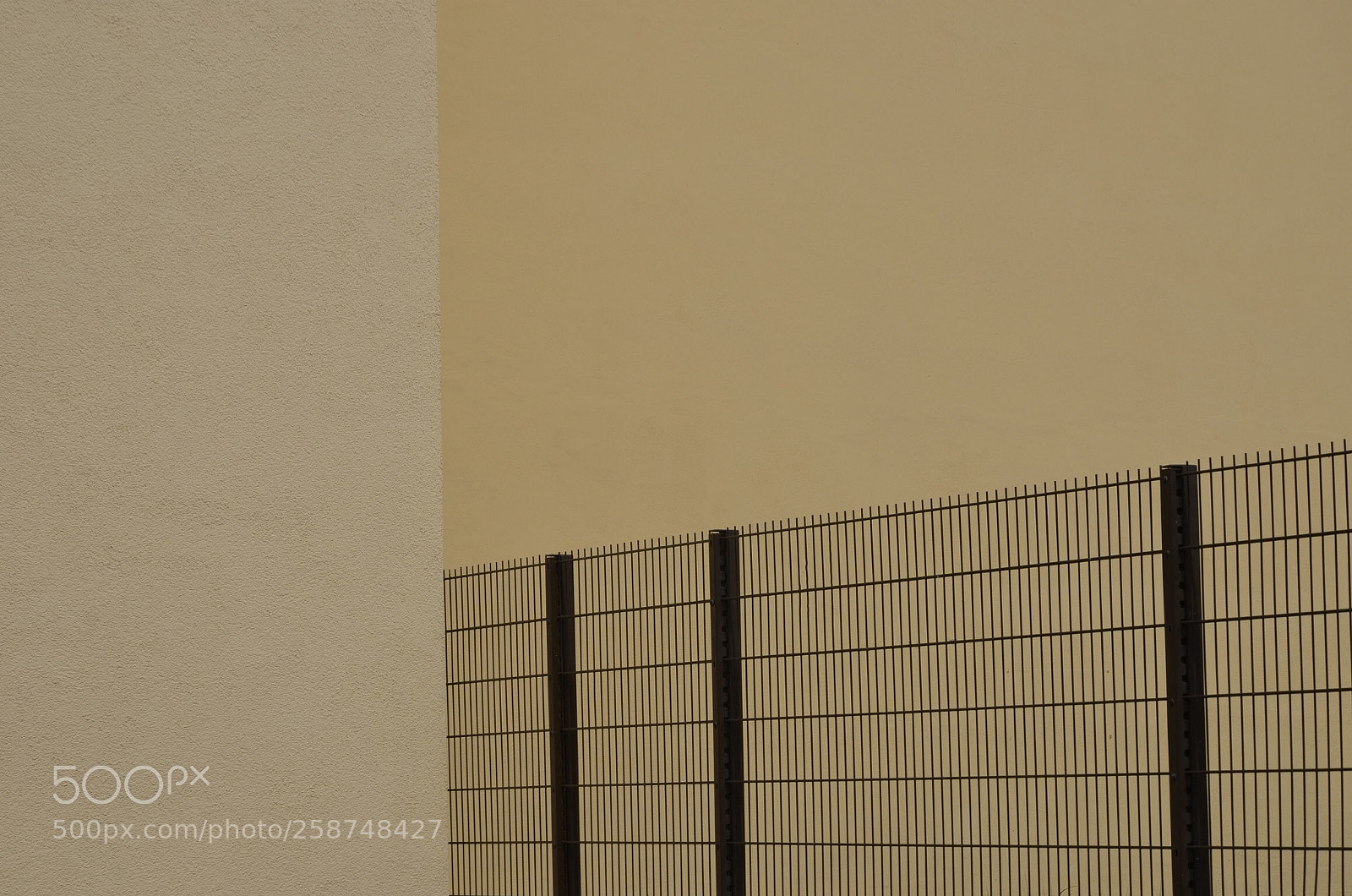 Nikon D7000 sample photo. Fence photography