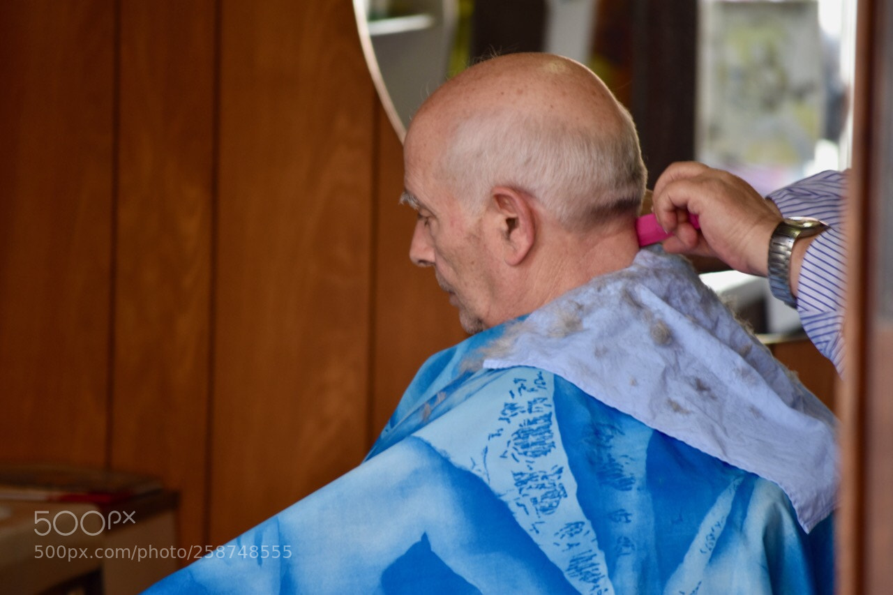 Nikon D5600 sample photo. Torino photography