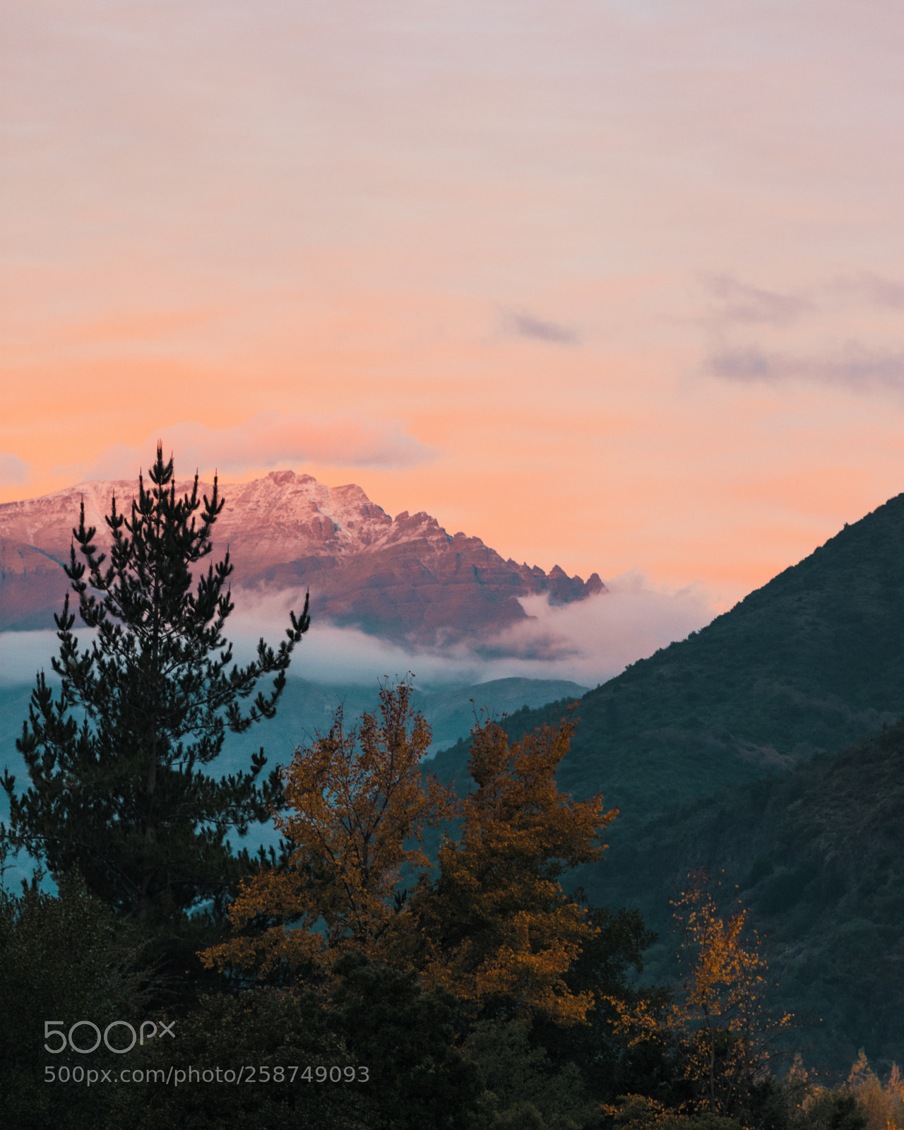 Nikon D3400 sample photo. Autumn sunset photography