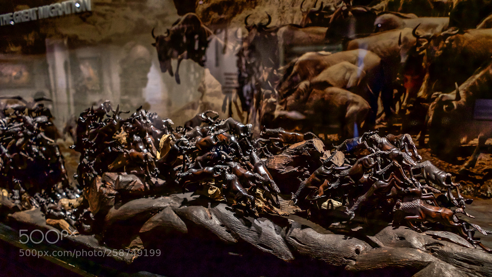 Sony a7 sample photo. The art of africa photography