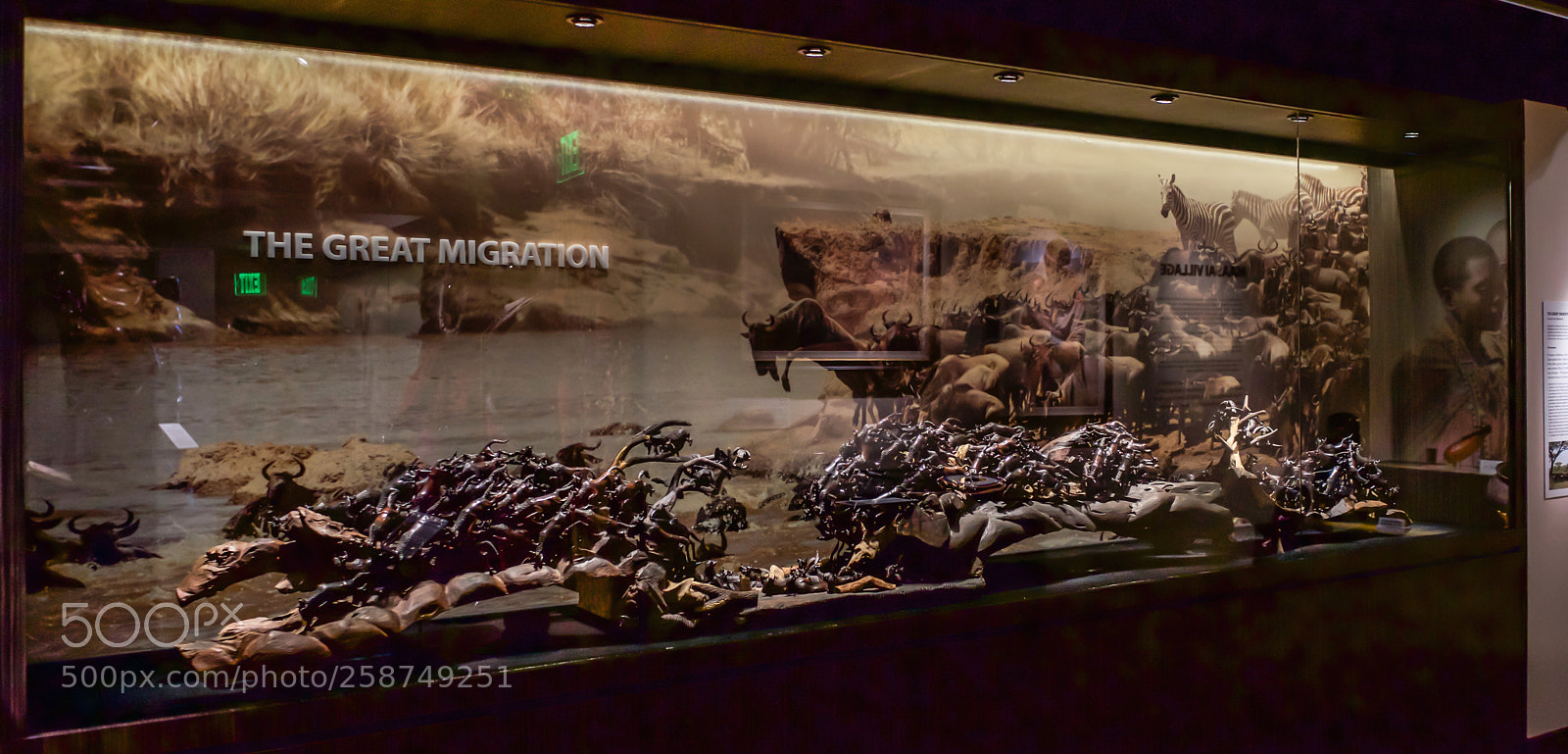 Sony a7 sample photo. The art of africa photography