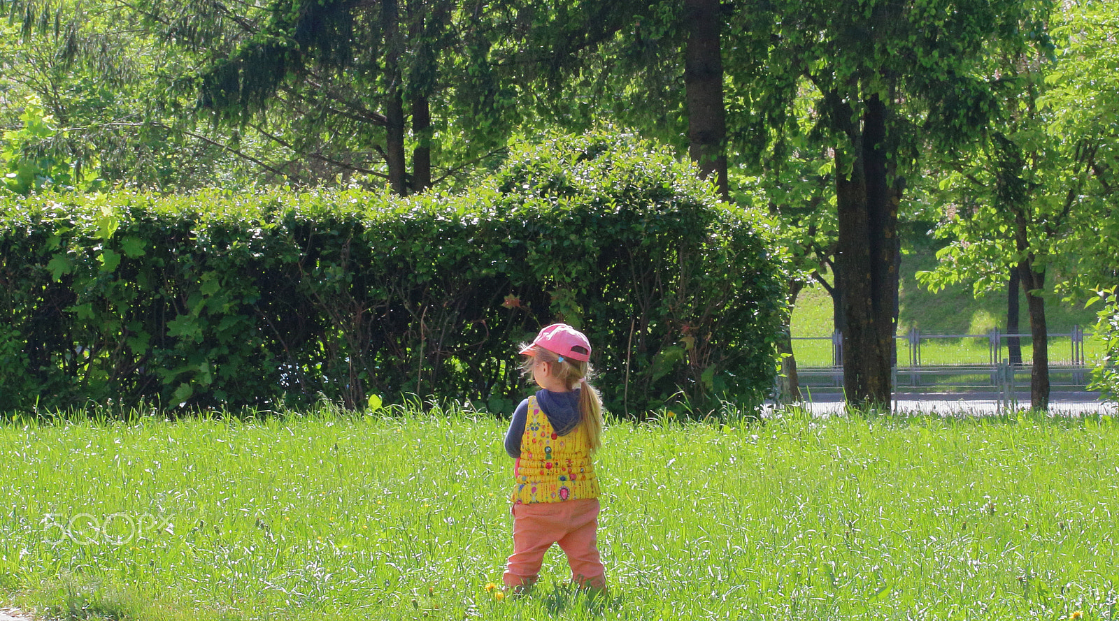 Canon EF-S 60mm F2.8 Macro USM sample photo. A little girl is standing on a lawn in bright sunl photography