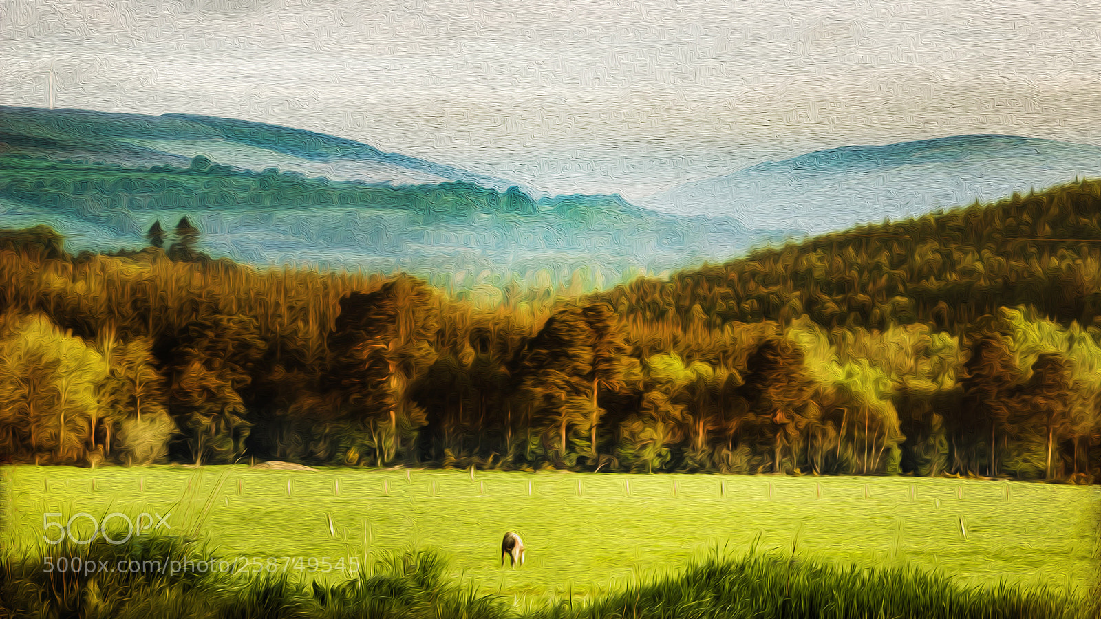 Canon EOS 600D (Rebel EOS T3i / EOS Kiss X5) sample photo. Mountain colour scene photography