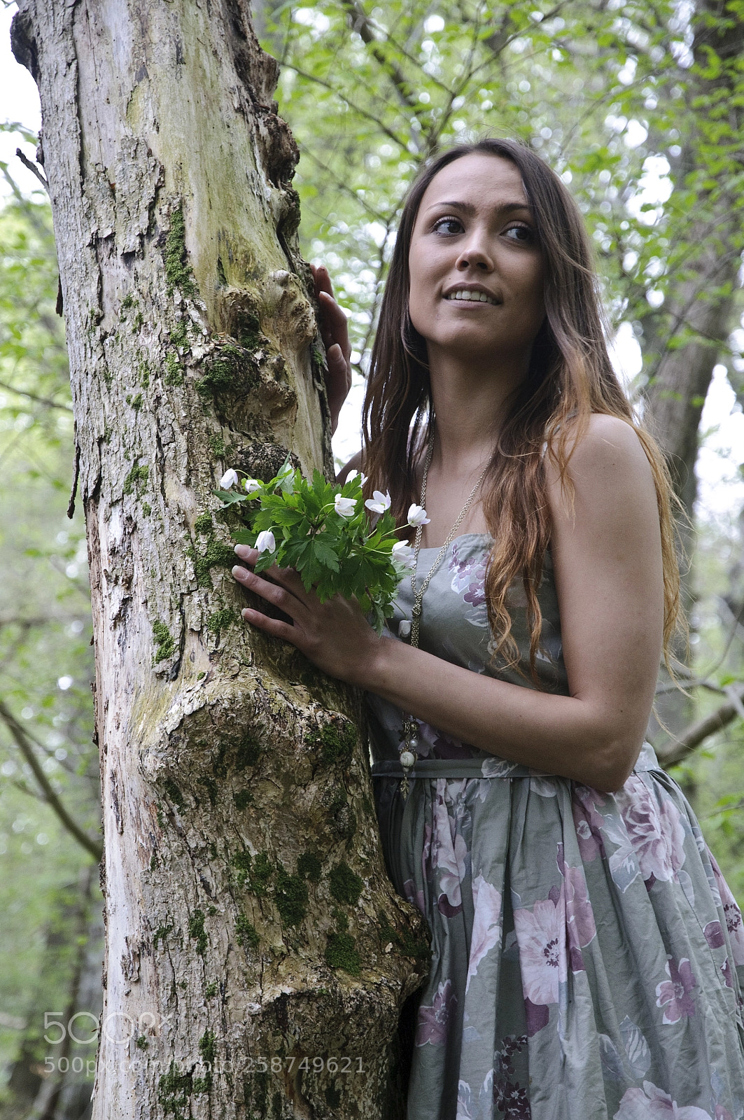 Nikon D300S sample photo. Beauty in spring photography