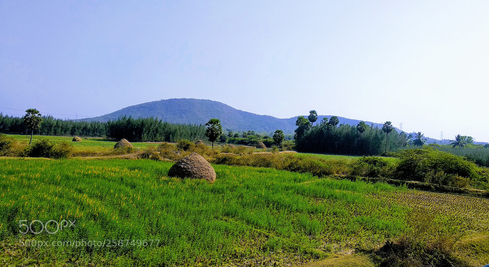 Xiaomi Mi A1 sample photo. My gorgeous village photography