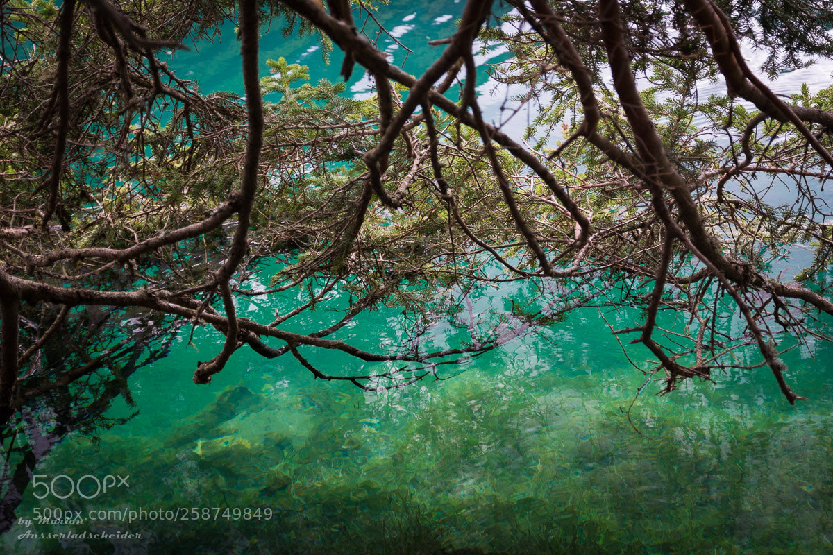 Nikon D7100 sample photo. Tirol 1 photography