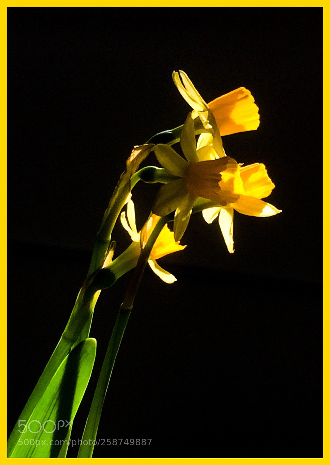 Apple iPhone 5s sample photo. Untitled photography