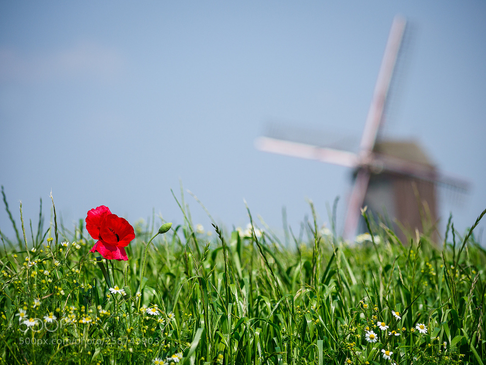 Olympus OM-D E-M1 Mark II sample photo. The windmills of your photography