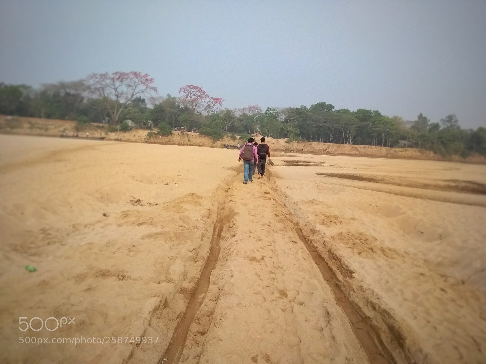 Xiaomi Redmi 4X sample photo. Untitled photography